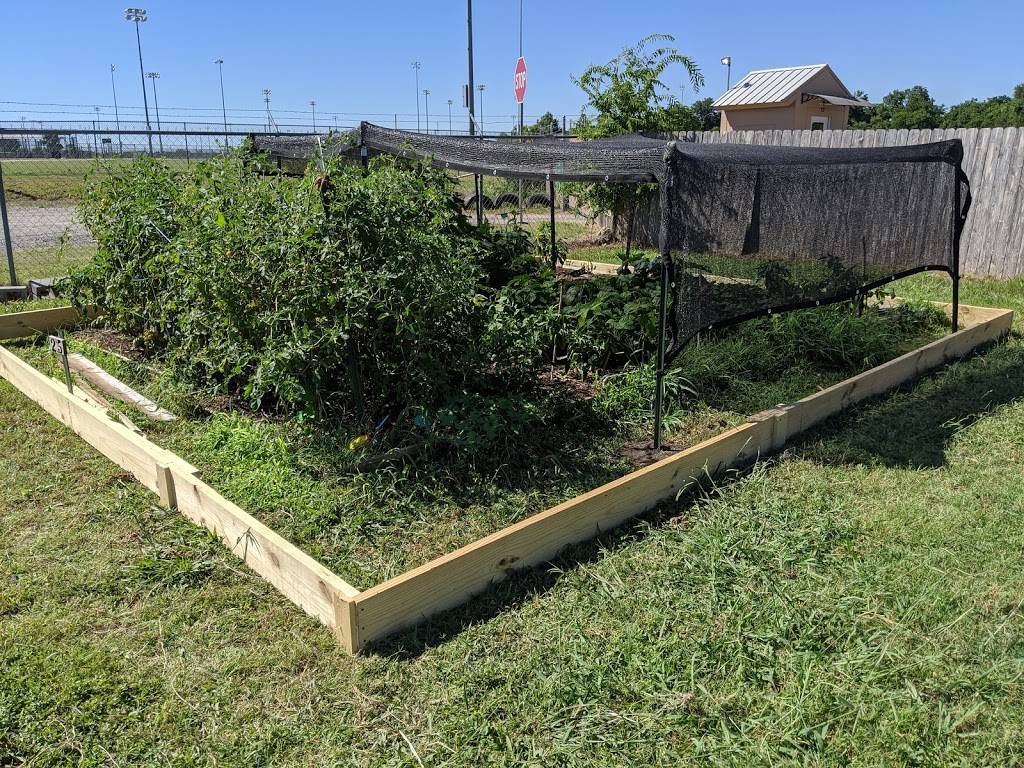 Pecan Street Community Garden | 15500 Sun Light Near Way, Pflugerville, TX 78660, USA | Phone: (512) 990-6360