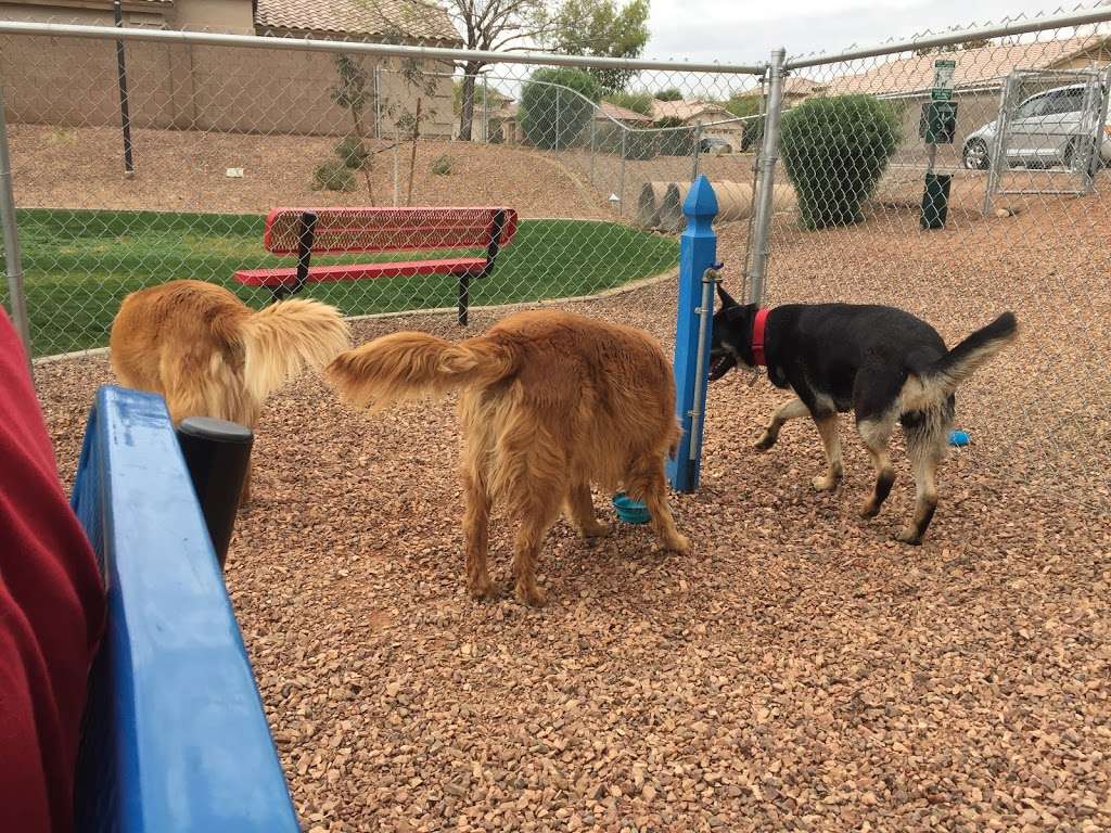 Trailwood Dog Park | 4224-4228 N 112th Ln, Phoenix, AZ 85037, USA