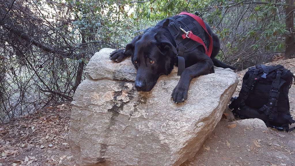 Winter Creek Trail | Winter Creek Trail, Sierra Madre, CA 91024, USA