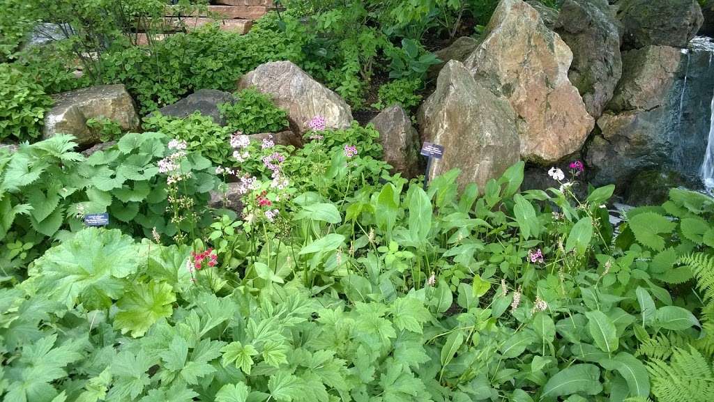 Waterfall Garden | Glencoe, IL 60022, USA