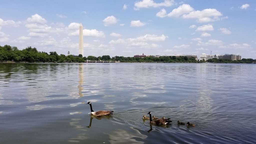 Tidal Basin | 20245 National Dr, Chantilly, VA 20151, USA