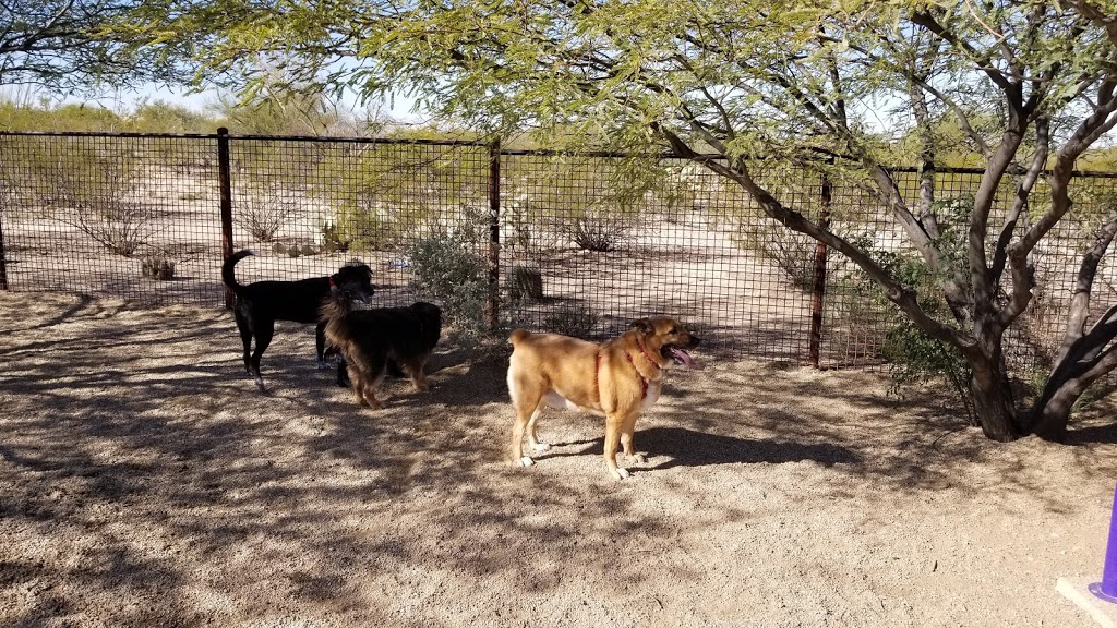 Ivans Spot Dog Park | 9820 E Rees Loop, Tucson, AZ 85747, USA | Phone: (520) 791-4873