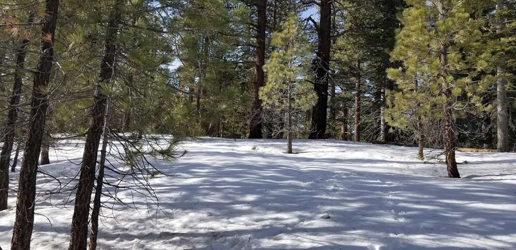 Mount Pinos Campground | Cuddy Valley Rd, Frazier Park, CA 93225, USA | Phone: (805) 434-1996