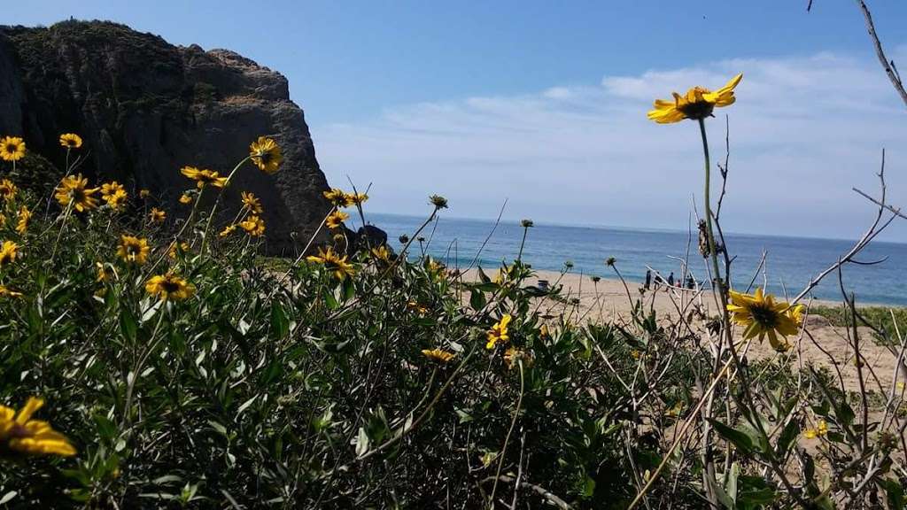 Bus Stop, Wave Guns, Beach Break | P.C.H., 101, CA 92075, USA | Phone: (714) 905-9494