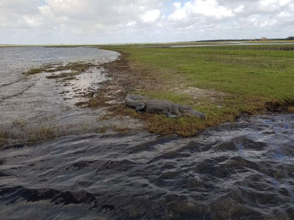 St. Johns National Wildlife Refuge | Titusville, FL 32781, USA | Phone: (321) 861-0667