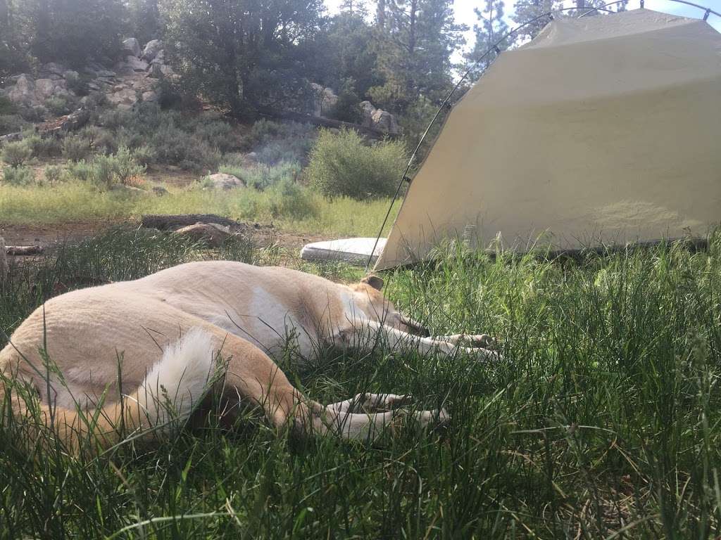 Horse Flats Campground | Pearblossom, CA 93553, USA