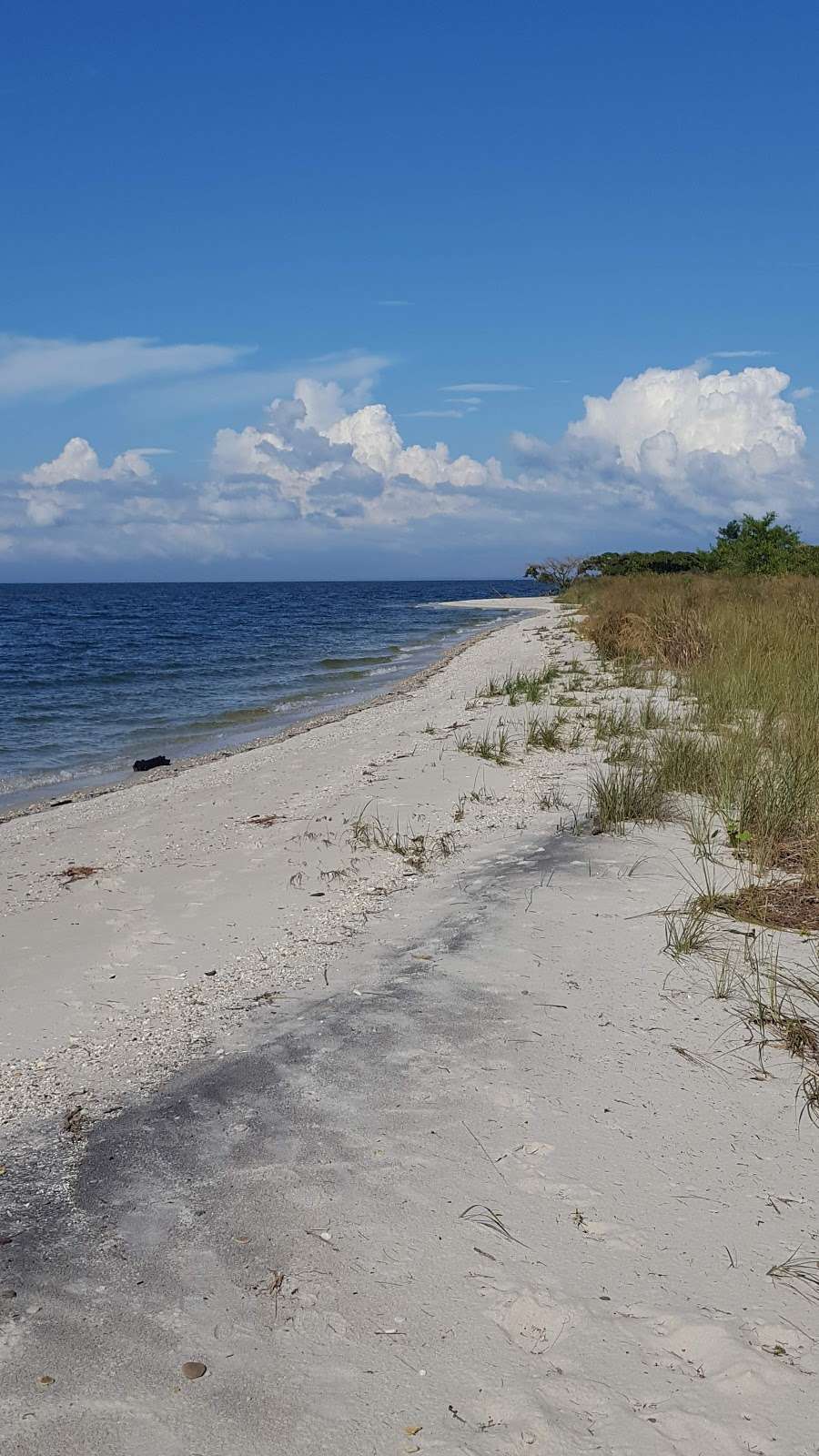 Beach House | 23248 Cedar Point Rd, Patuxent River, MD 20670, USA