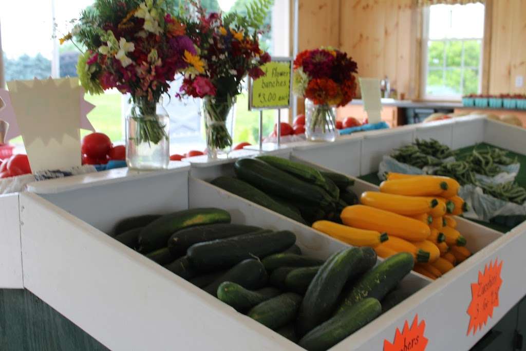 Hammond School Farm Market | 9496, 661 Ranck Rd, New Holland, PA 17557, USA | Phone: (717) 354-8114