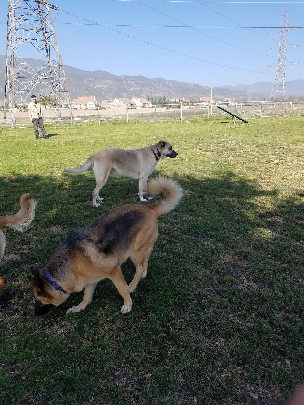 Fontana Dog Park | Fontana, CA 92336, USA