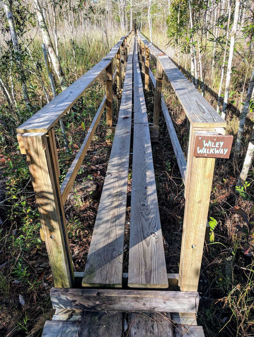 Trailhead for Flagler/Florida Trail | Flagler Trail, Oviedo, FL 32765, USA