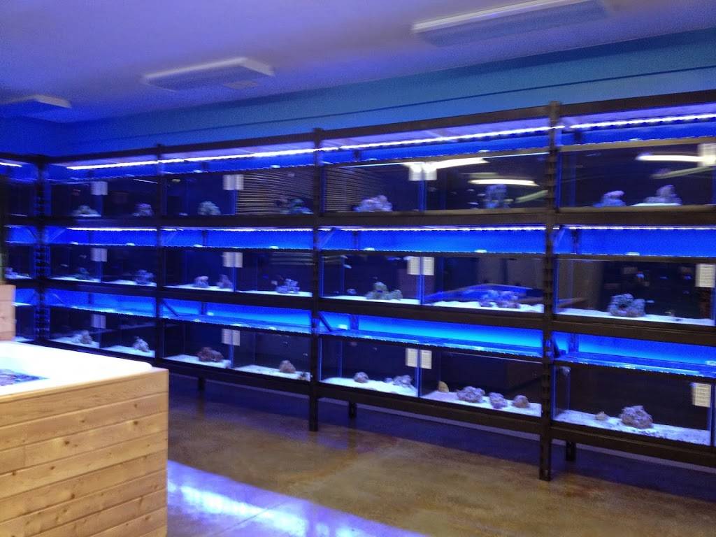 Saltwater Sanctuary | 657 Morganza Rd, Canonsburg, PA 15317, USA | Phone: (412) 223-6065