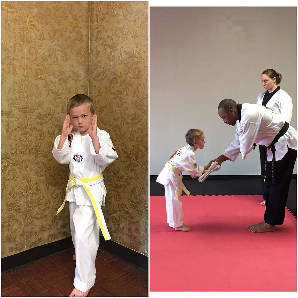 Majestic Taekwondo Academy | 2538 S Cleveland Ave, St Joseph, MI 49085, USA | Phone: (269) 605-7106