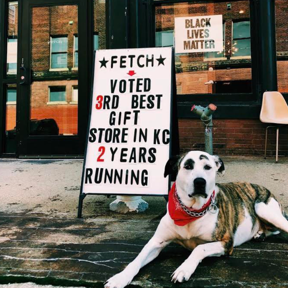 Fetch | 1101 Mulberry St, Kansas City, MO 64101, USA | Phone: (816) 492-1426