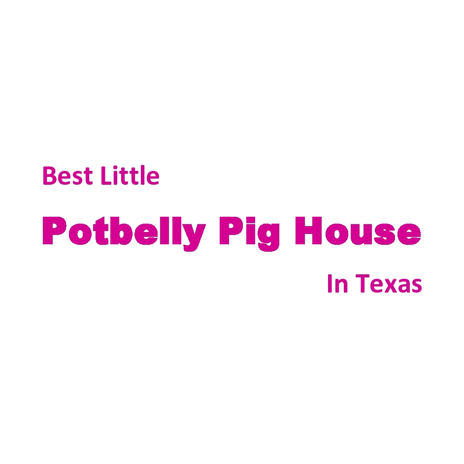 Best Little Potbelly Pig House in Texas | 9030 Western St, Beach City, TX 77523, USA | Phone: (281) 383-3669