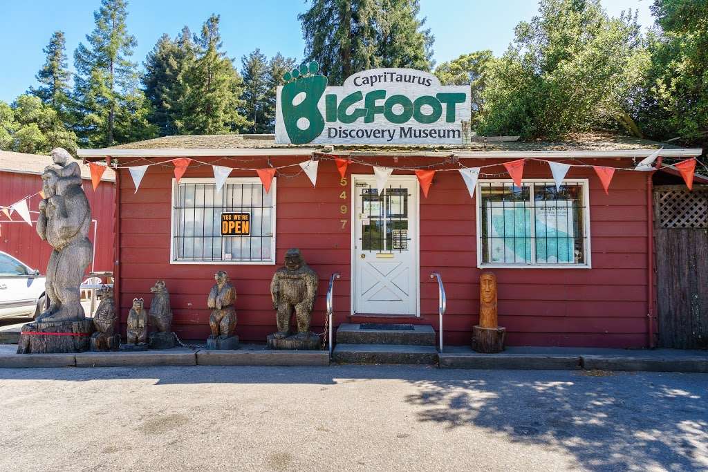 Bigfoot Discovery Museum | 5497 Hwy 9, Felton, CA 95018, USA | Phone: (831) 335-4478