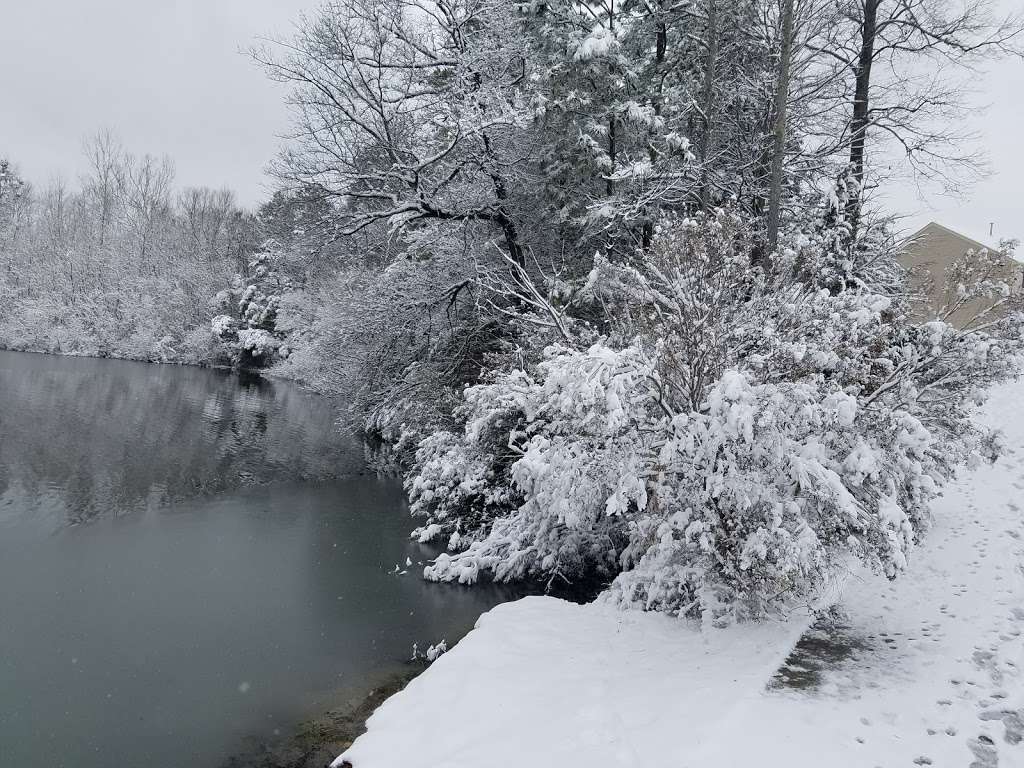 Allosaurus Pond | Charlotte, NC 28262, USA