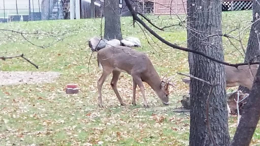 Shingle Creek Trail Park | Brooklyn Park, MN 55443, USA | Phone: (763) 569-3400