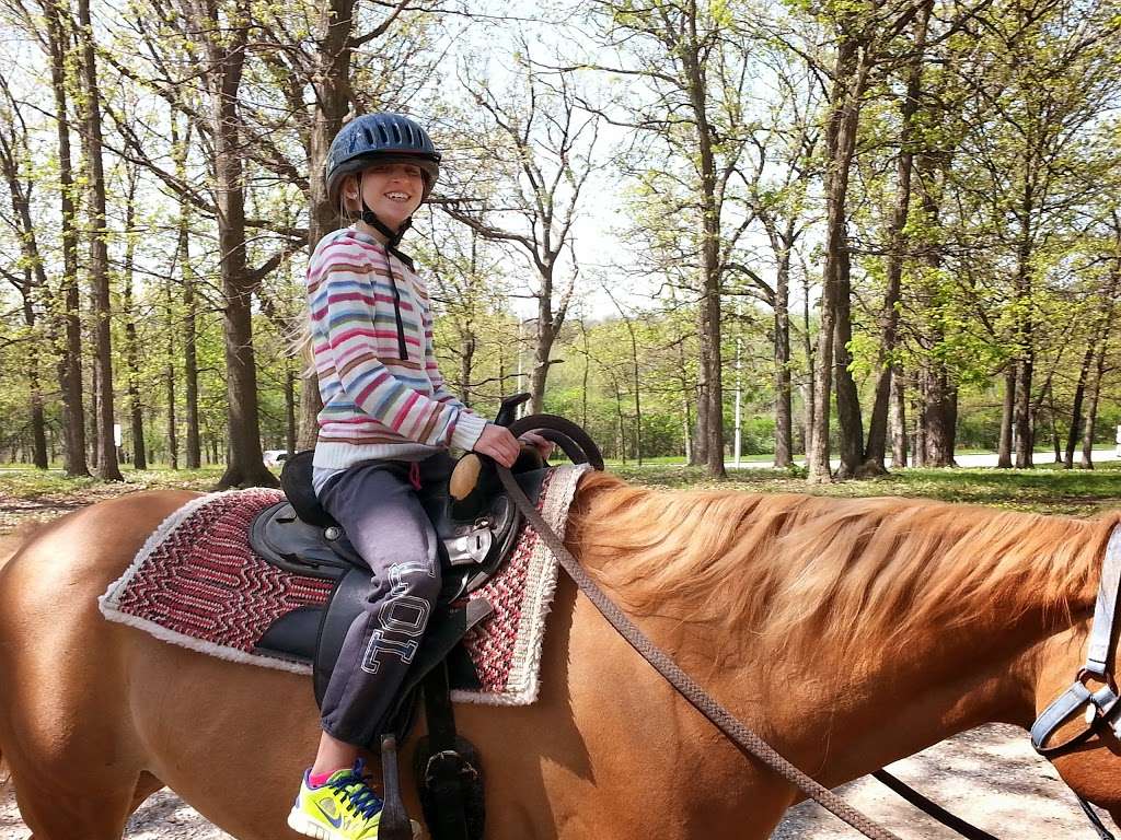 Sarahs Pony Rides | 8220 S Kean Ave, Willow Springs, IL 60514, USA | Phone: (630) 802-1316