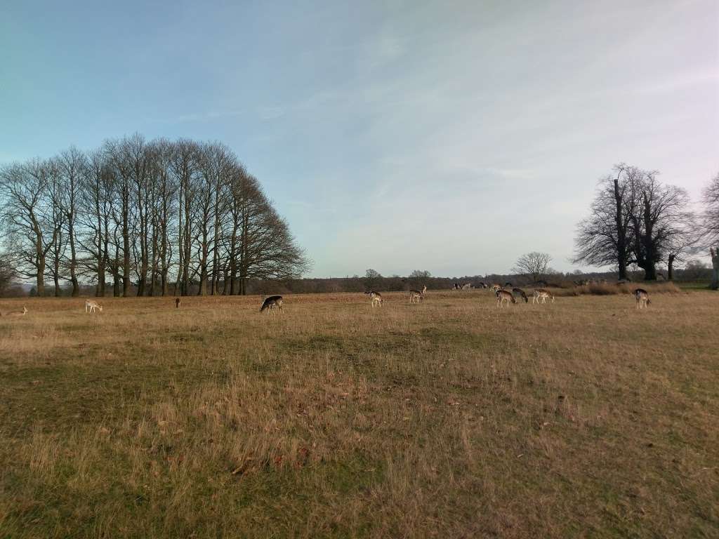 Knole Park Pedestrian Entrance Alpha | Unnamed Road, Sevenoaks TN15 0HU, UK