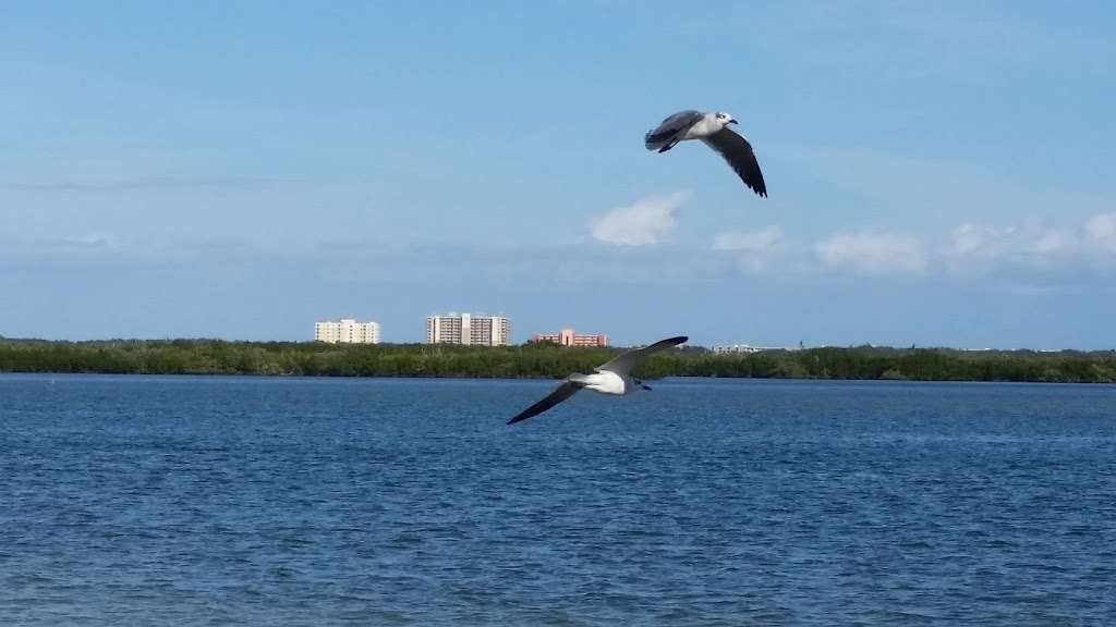 Public Kayak Launch | 413 S Riverside Dr, Edgewater, FL 32132, USA