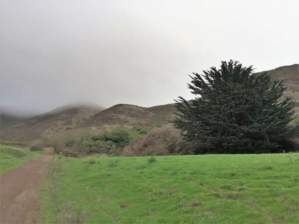 Point Bonita | Coastal Trail, Sausalito, CA 94965, USA