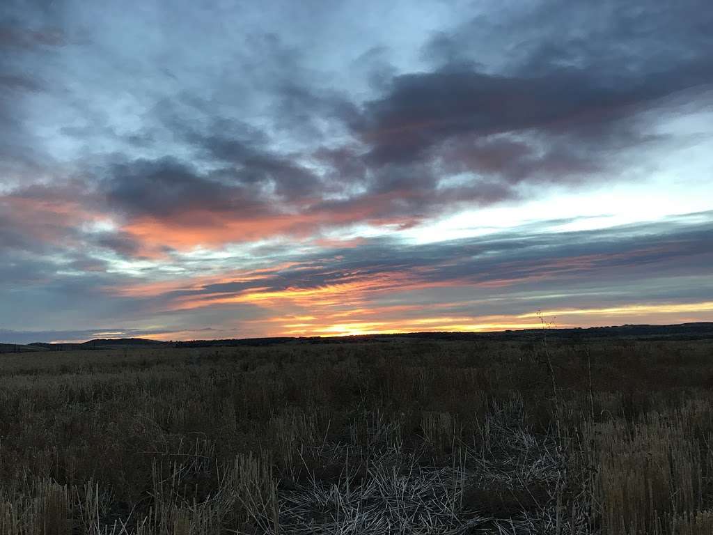 Josephine Roche Open Space | Lafayette, CO 80026, USA