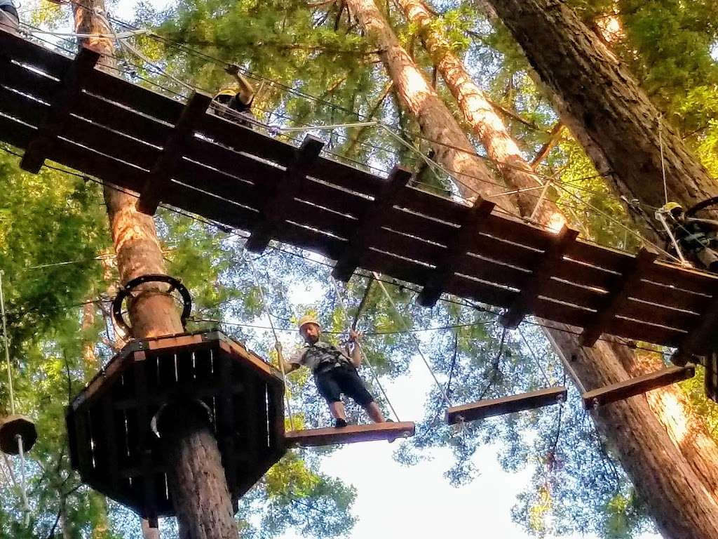 Redwood Canopy Tour | 17 Conference Dr, Felton, CA 95014, USA | Phone: (831) 430-4357