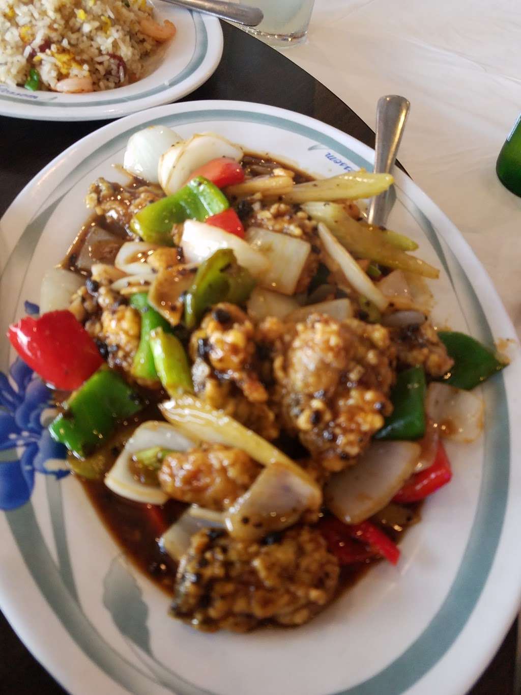 A Ly Oriental Restaurant | 11360 Bellaire Blvd, Houston, TX 77072, USA | Phone: (281) 575-7888