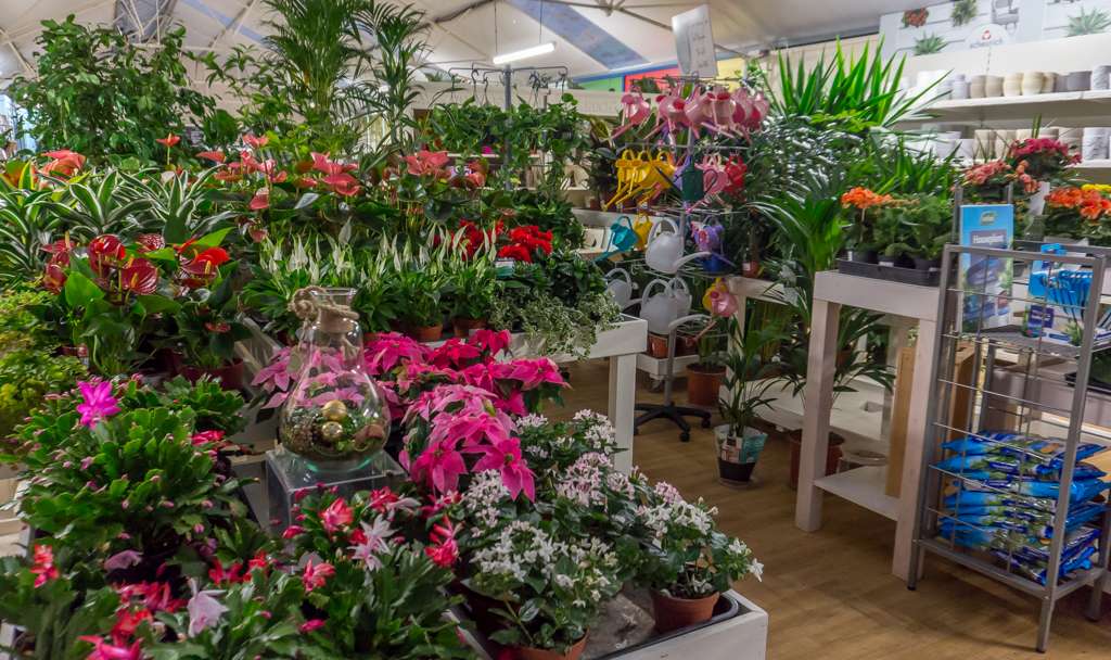 Vanstone Park Garden Centre | Hitchin Road Codicote, Hitchin, Codicote, Hitchin SG4 8TH, UK | Phone: 01438 820412