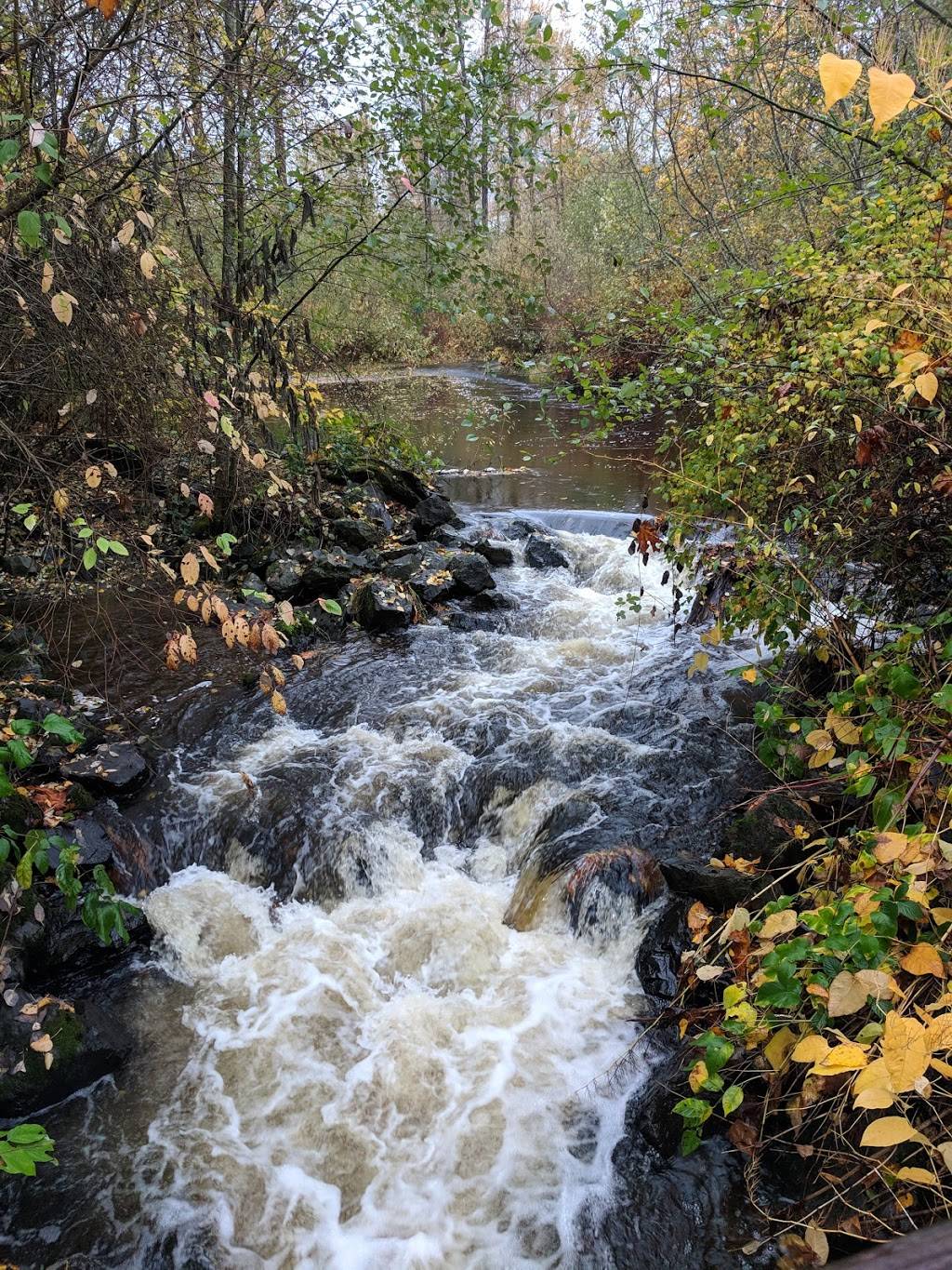 Wallace Swamp Creek Park | 19851 73rd Ave NE #2006, Kenmore, WA 98028, USA | Phone: (425) 398-8900