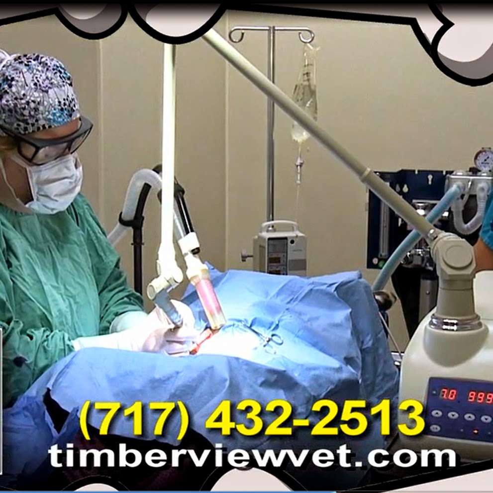 Dr Sara at Timberview Veterinary Hospital | 106 W Cabin Hollow Rd, Dillsburg, PA 17019, USA | Phone: (717) 432-2513