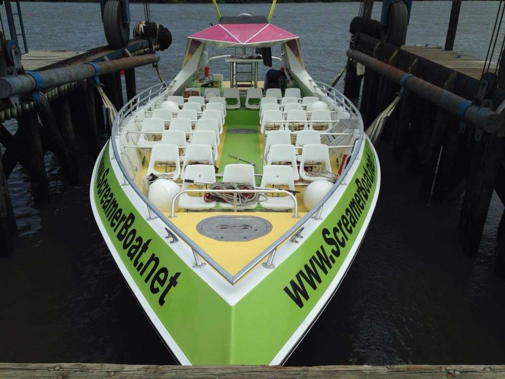Screamer Speedboat & Dolphin Watch | 244 Bay Ave, Ocean City, NJ 08226, USA | Phone: (609) 398-5800