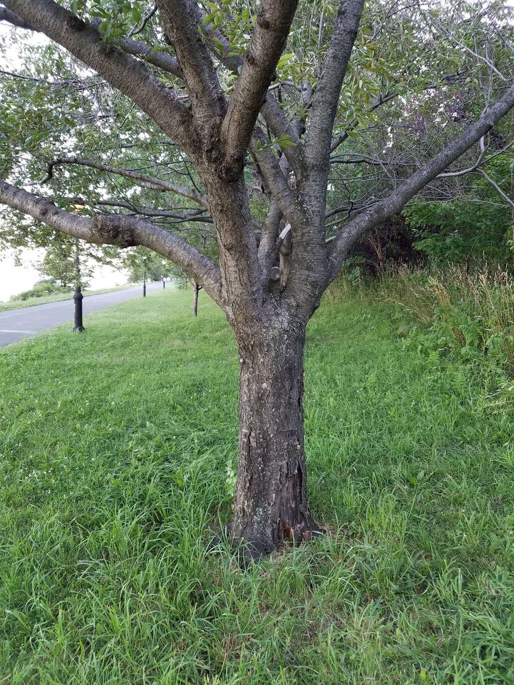 Hudson River Waterfront Greenway | New York State Reference Rte 907V, New York, NY 10024, USA