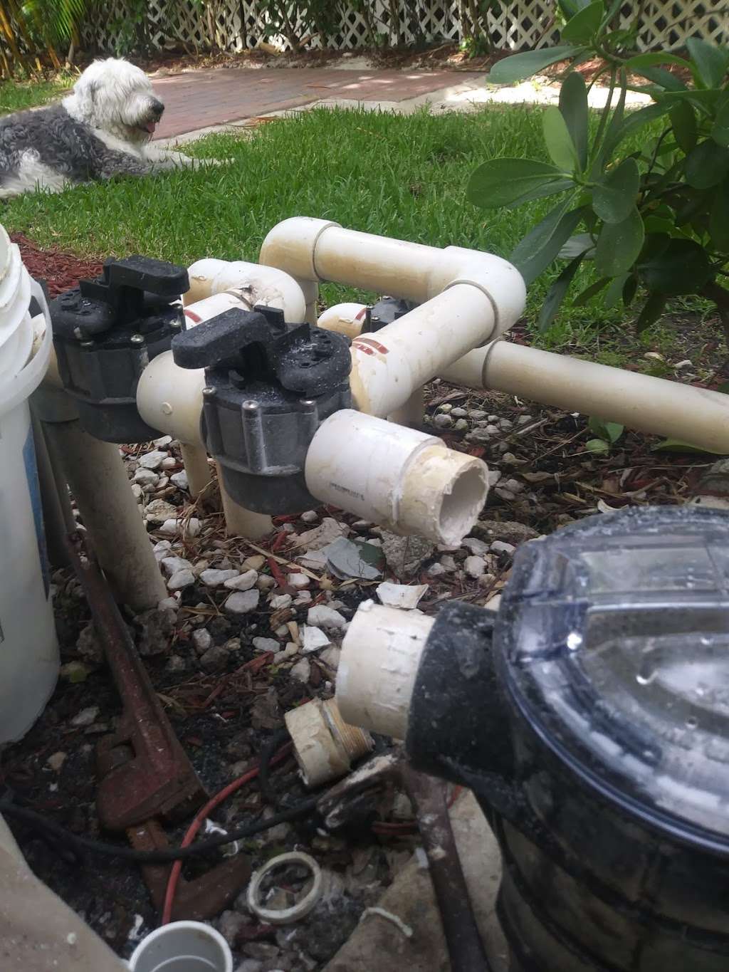 weston pool service inc | 4251 SW 139th Ave, Miramar, FL 33027, USA | Phone: (954) 732-5397