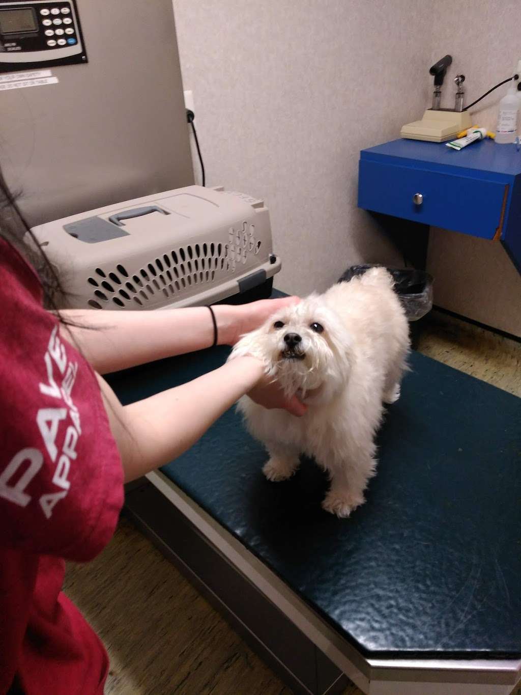 Evesham Veterinary Clinic: Bell Jaclyn DVM | 800 NJ-73, Marlton, NJ 08053, USA | Phone: (856) 983-9440