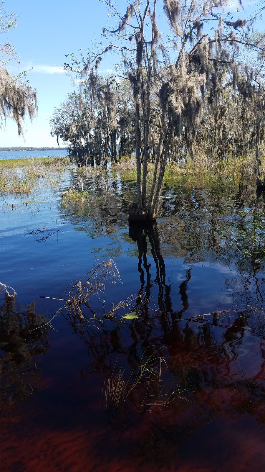 Clermont Dog Park | Clermont, FL 34711, USA