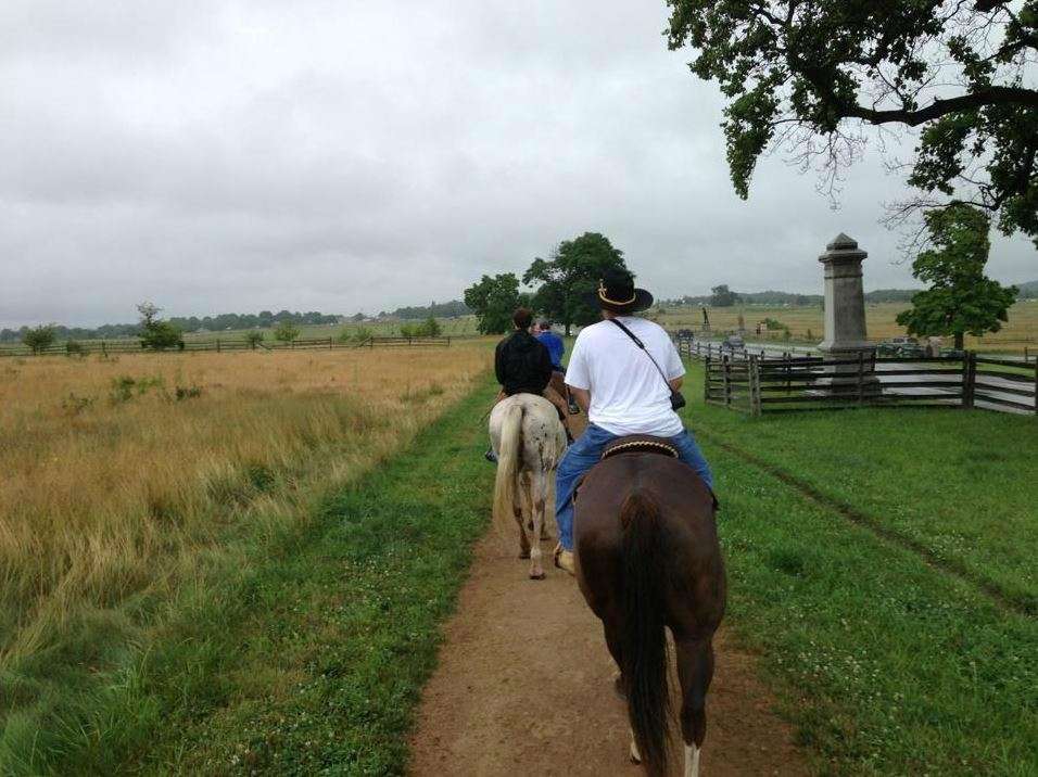 Hickory Hollow Horse Farm | 7418, 219 Crooked Creek Rd, Gettysburg, PA 17325, USA | Phone: (717) 253-6300