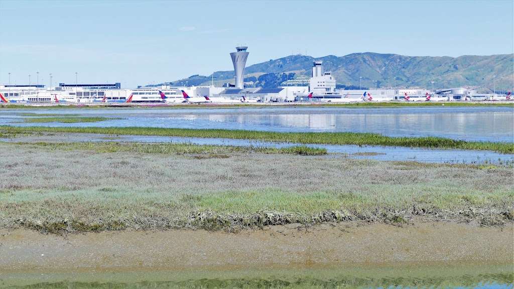 Airport plane watch area | Bay Trail Access, Burlingame, CA 94010, USA