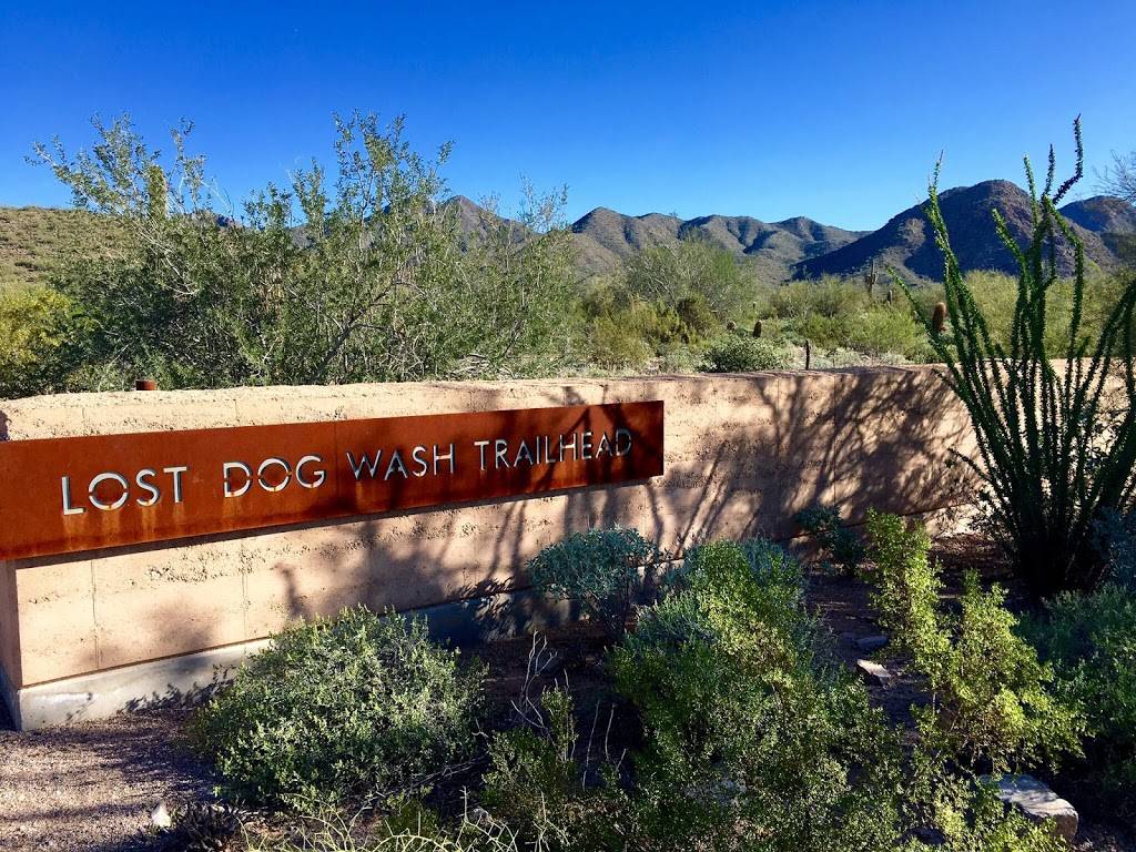 Lost Dog Wash Trailhead | 12601 N 124th St, Scottsdale, AZ 85259, USA