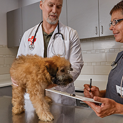 Petco Veterinary Services | 150 NJ-10, East Hanover, NJ 07936, USA | Phone: (973) 515-9500