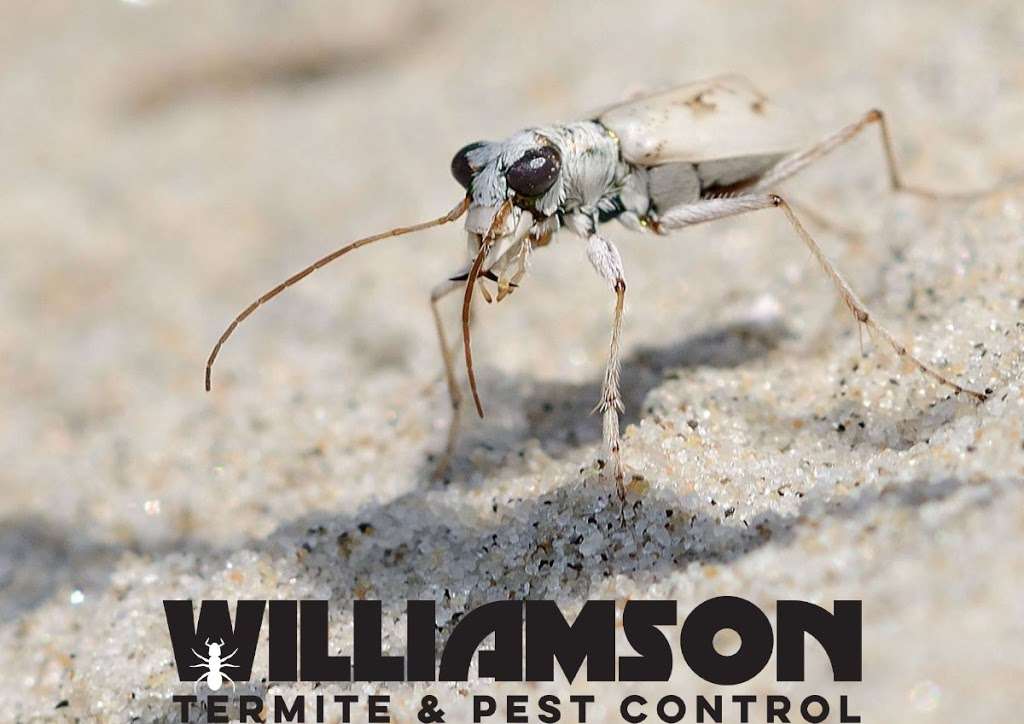 Williamson Termite & Pest Control | 836 Ocean Pkwy, Berlin, MD 21811, USA | Phone: (302) 344-3922