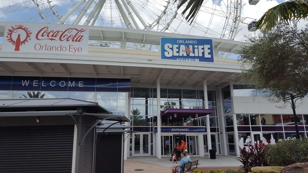 SEA LIFE Orlando Aquarium | 8449 International Dr, Orlando, FL 32819, USA