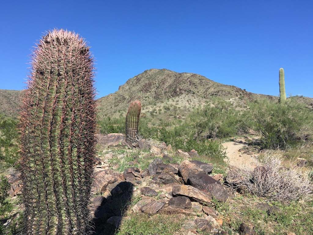 Pyramid Trailhead Parking Lot | 15200-15498 S 19th Ave, Phoenix, AZ 85045, USA