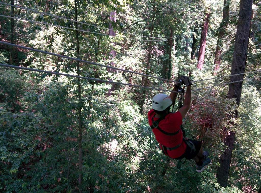 Redwood Canopy Tour | 17 Conference Dr, Felton, CA 95014, USA | Phone: (831) 430-4357