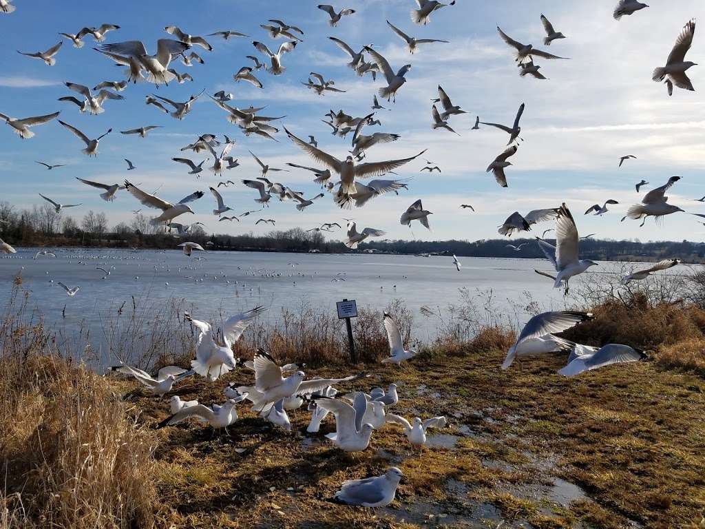 Church Road Bird Sanctuary | Church Rd, Pennsburg, PA 18073, USA