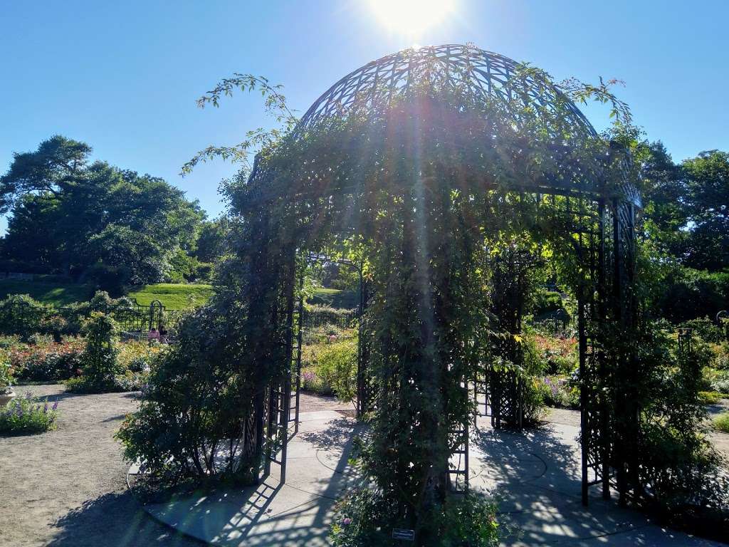 Rockefeller Rose Garden | Bronx River Pkwy, Bronx, NY 10467, USA | Phone: (718) 817-8700