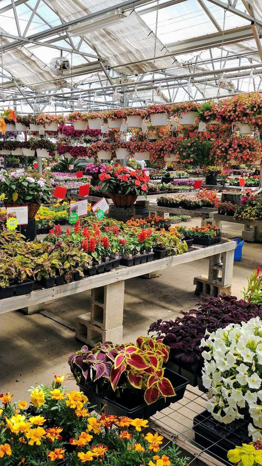 Brock Farms Home & Garden World | 4189 U.S. 9, Freehold, NJ 07728, USA | Phone: (732) 462-2700