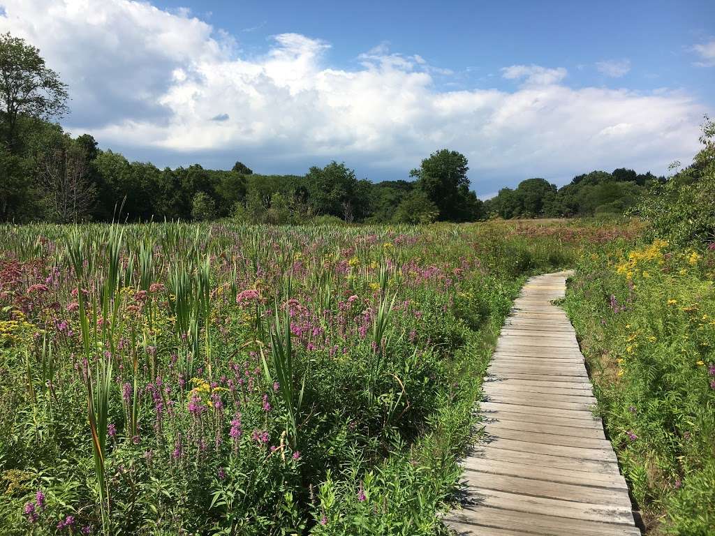 Rock Meadow Conservation Area | Belmont, MA 02478, USA