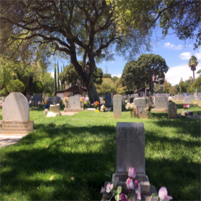 Oak View Memorial Park Cemetery | 2500 E 18th St, Antioch, CA 94509, USA | Phone: (925) 757-4500