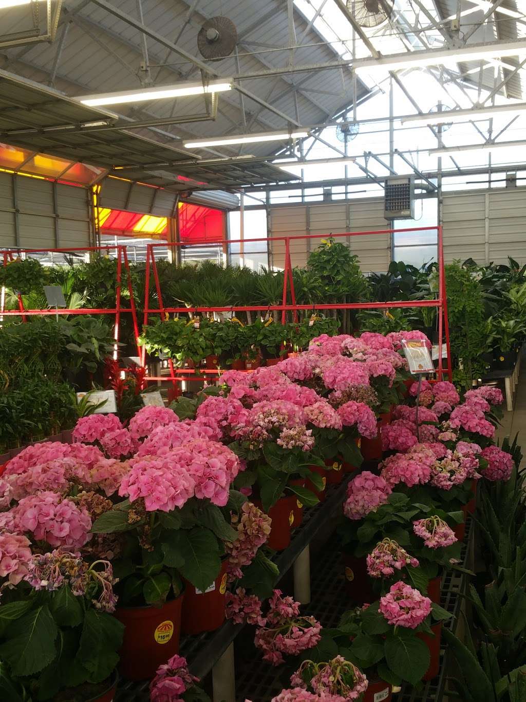 Houston Garden Center | 23260 Northwest Fwy, Cypress, TX 77429, USA | Phone: (281) 373-2239